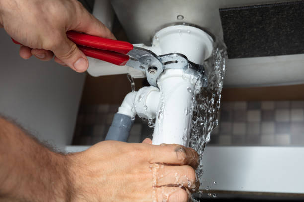 Best Local water damage restoration  in Rtez, CO
