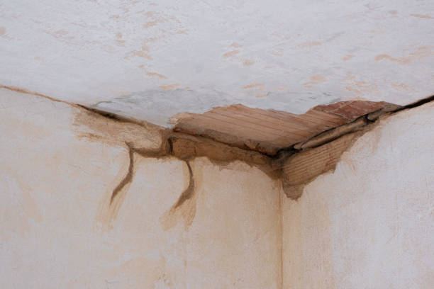 Best Residential water damage restoration  in Rtez, CO