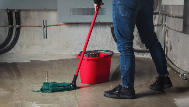 Reliable Cortez, CO Water damage restoration Solutions