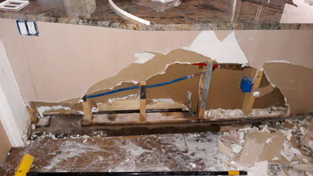 Best Water damage cleanup near me  in Rtez, CO
