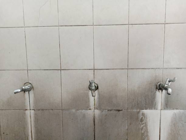 Best Flooded house restoration  in Rtez, CO