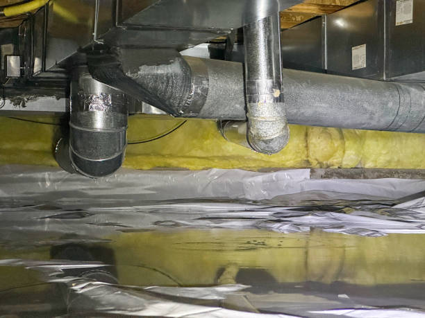 Best Water damage restoration near me  in Rtez, CO